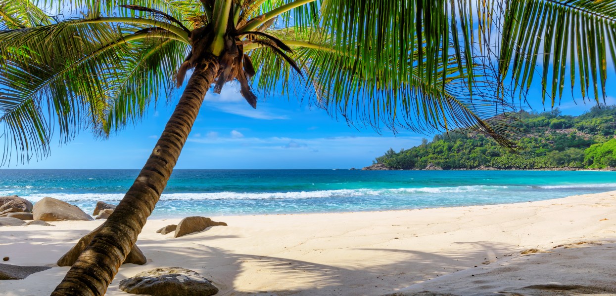 Cruceros Royal Caribbean desde Barbados, el paraíso del Atlántico